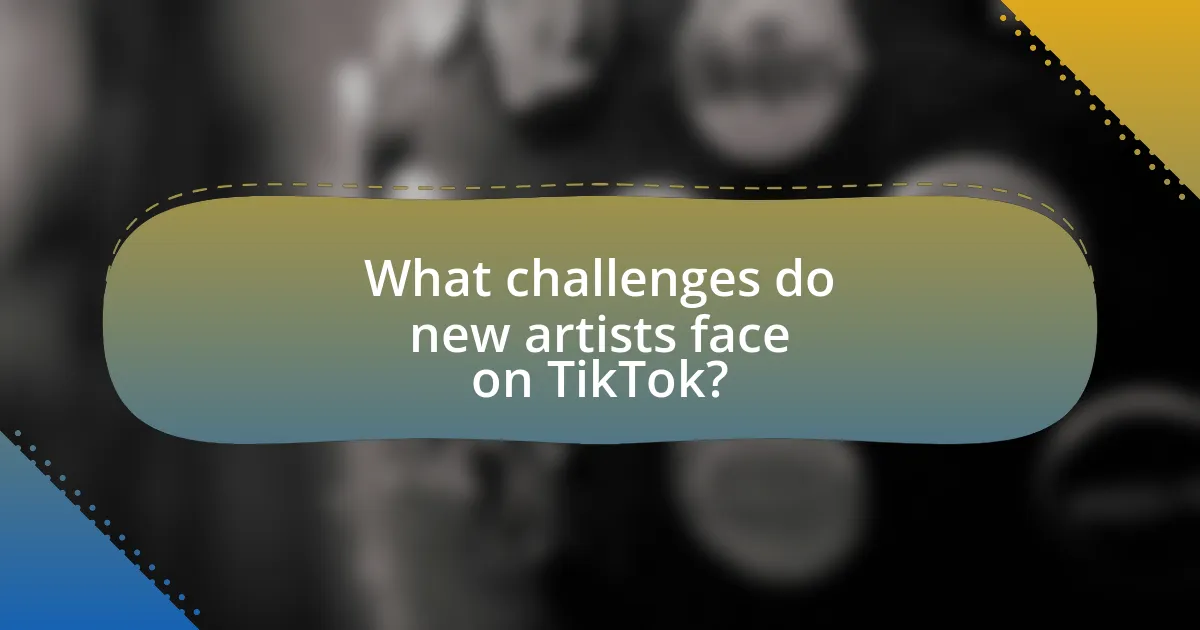 What challenges do new artists face on TikTok?